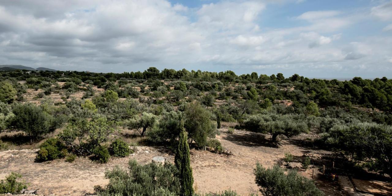 Finca Jabali Тортоса Экстерьер фото